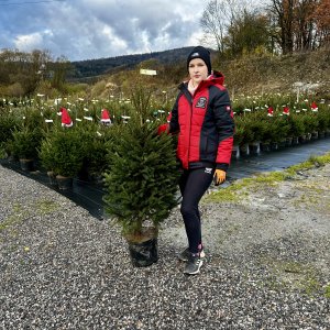 Smrek obyčajný (Picea abies) - výška 120-140 cm, kont. C20L